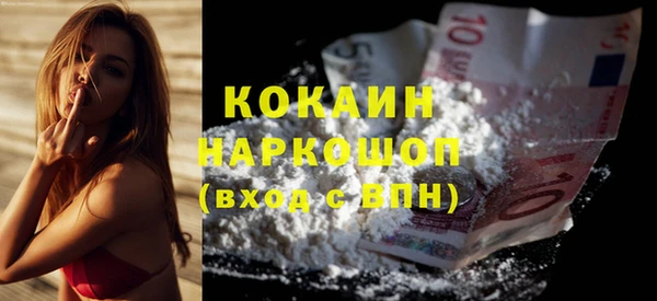 крисы Абаза
