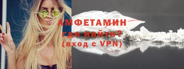 крисы Абаза