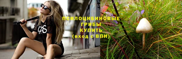 молекула духа Абинск