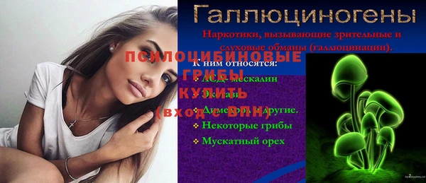 МДПВ Алзамай