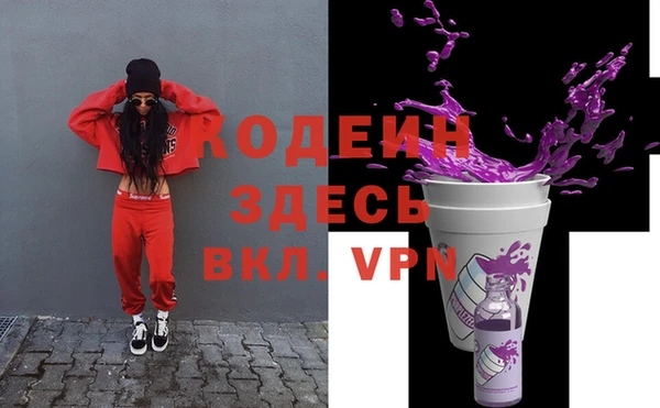крисы Абаза
