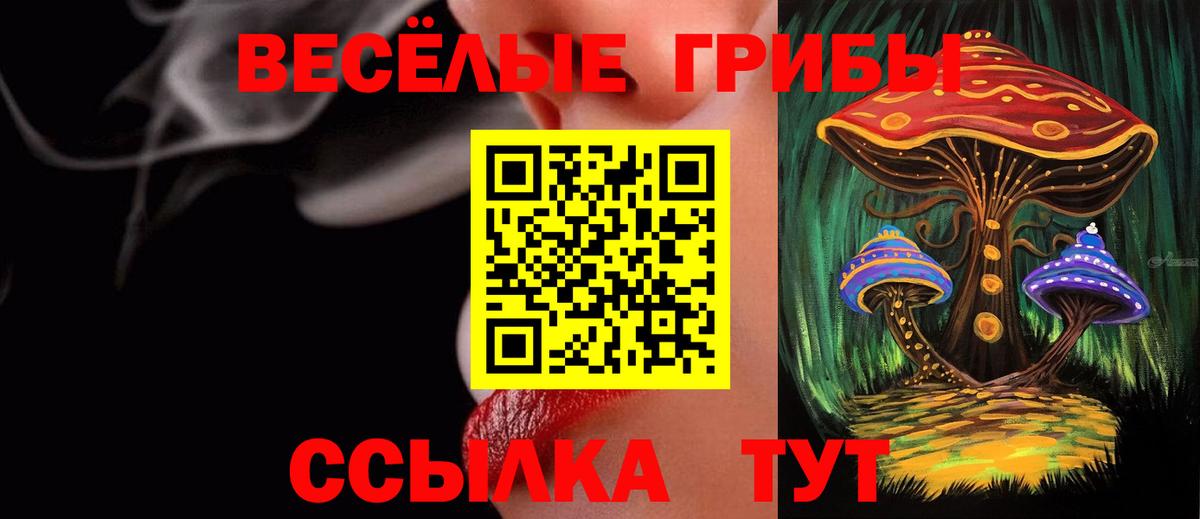 купить закладку  Галлюциногенные грибы мухоморы  Галлюциногенные грибы Psilocybine cubensis  Вход с VPN  Уварово 